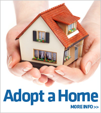 buttons-adopt-home
